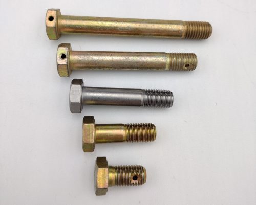 Five bolts of varying lengths are displayed on a flat surface. The top bolt is labeled "Bolt AN5 – 5/16″ (24)" and features a hexagonal head with a threaded shaft. The bolts are arranged in descending order of size.