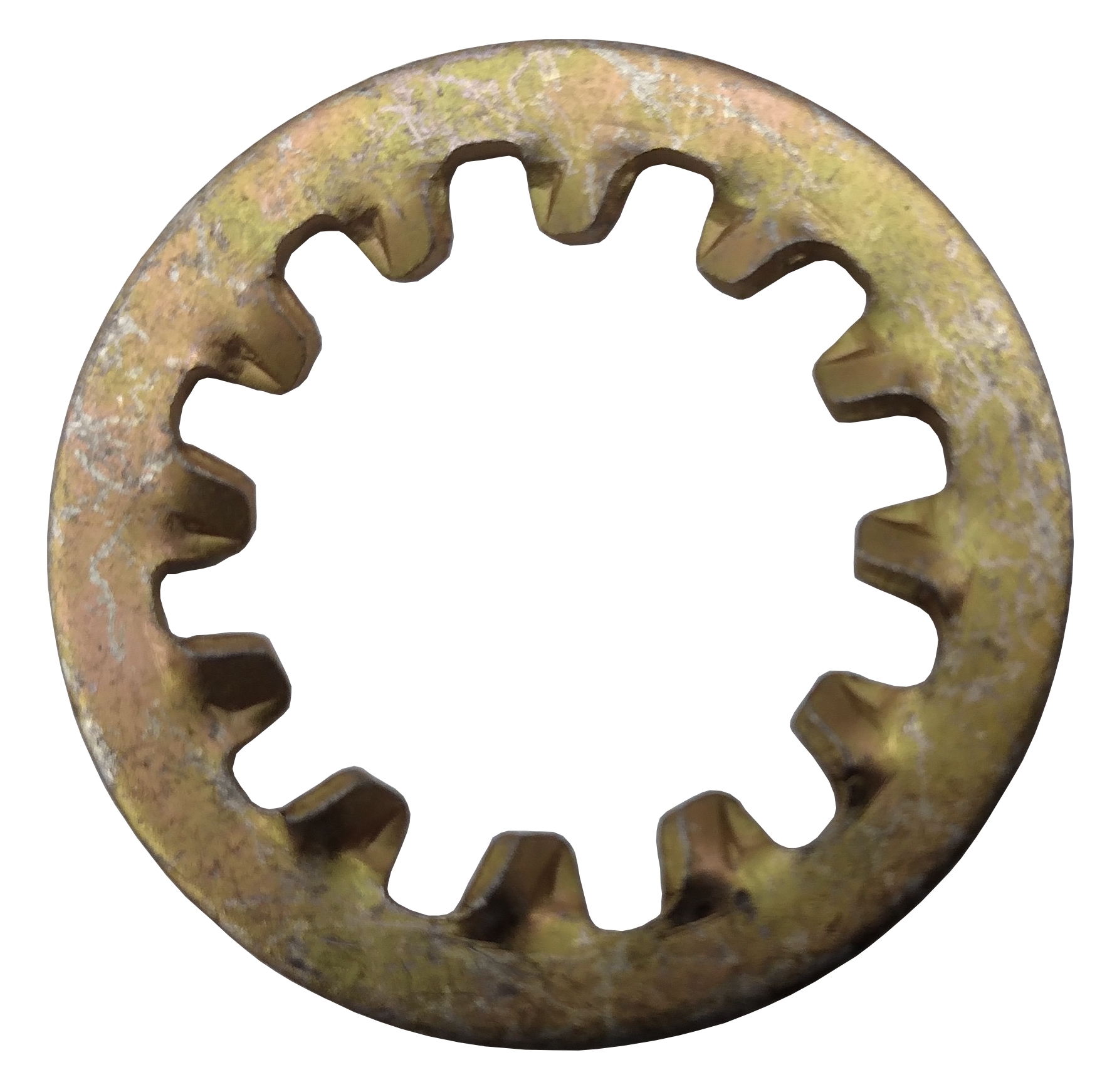 thumbnail image 2 of Albany County Fasteners 7/16 Stainless Steel External Tooth Star Lock Washers (Qty 25) 2 of 6