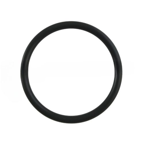 Black circular O-ring designed for fuel resistance, showcasing a smooth, even surface. Ideal for sealing applications in various machinery and automotive uses.