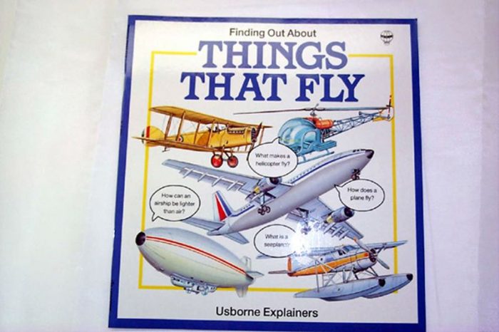 Cover of the book "Things That Fly" from Usborne Explainers, featuring illustrations of various aircraft including a biplane, hot air balloon, jet, blimp, and seaplane. Speech bubbles with fun facts are shown around the aircraft.