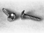 Two metal screws on a white surface, one lying flat and the other standing upright.