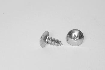 Two silver dome-shaped screws on a white surface, one lying flat and the other standing upright.