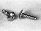 Two metal screws on a white surface, one with a rounded head and the other with a flat head.